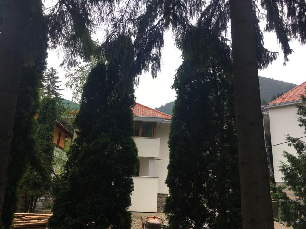 Manyi Villa BaileTusnad Exterior photo
